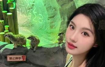 166.su的入口就像个魔法空间，人进去都是八卦精灵！