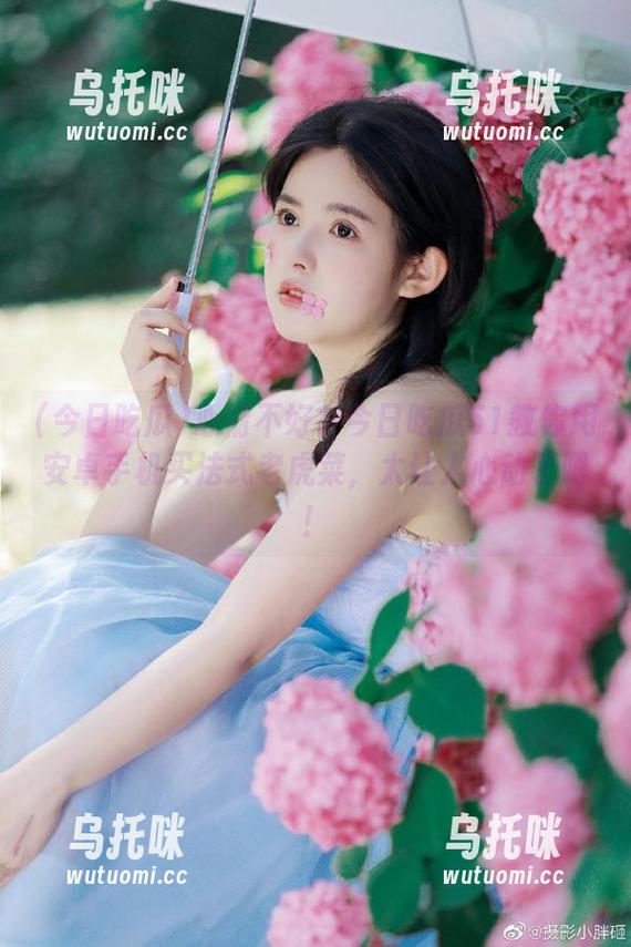 今日吃瓜 心情不好?今日吃瓜51教你用安卓手机买法式老虎菜,太让人心动了吧!