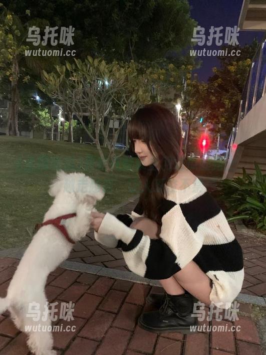 全网吃瓜 而我在登录全网吃瓜的路上,越走越偏,让人忍俊不禁