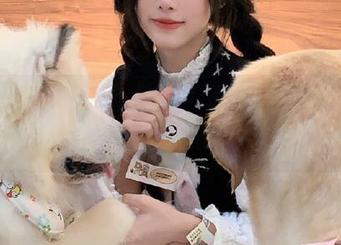 一路上让我思绪万千的黑料冲哥长征导航，路边的风景真好看
